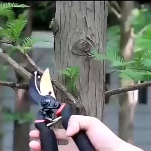MLADEN SK5 Steel Pruning Shears Plant Branches Trimmer Cutter Twig Shear Gardening Scissors Bonsai Tools Gunting Pokok Bunga