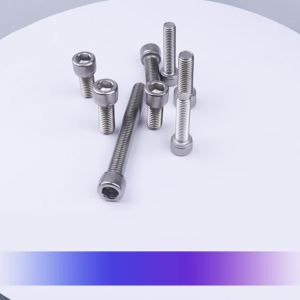 M2.5 M3 M4 Hex Socket Cap Head Screws 304 Stainless Steel SHINY SURFACE Allen Bolt DIN912 Skru
