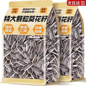 Freshly Roasted Large Sunflower Seeds Snack