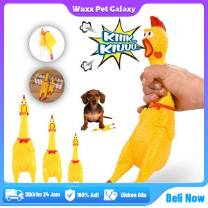 Mainan Kucing Anjing Ayam Karet Anti Sobek Screaming Chicken Pet Toys Mainan Hewan Mainan Ayam Di Pencet Bunyi