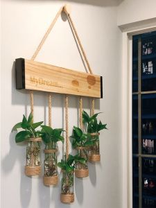 DIY ที่แขวนผนังทำจากเชือกมะพร้าว กระติกแก้วตกแต่งบ้าน หอพัก ปลูกไม้ไผ่สีเขียว วัสดุแก้ว ตกแต่งห้องนอน ห้องนั่งเล่น