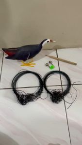 Paket Jontrot kareo ruak ruak sawah ( premium ) plus Racik 4 meter 44 mata bonus kerincing - Decoy Ruak Ruak kareo sawah