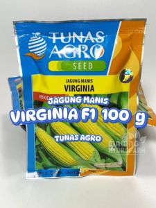 Benih Jagung Manis Virginia 100 gram Tunas Agro dataran menengah unggul bibit biji pertiwi hydroponik hidroponik