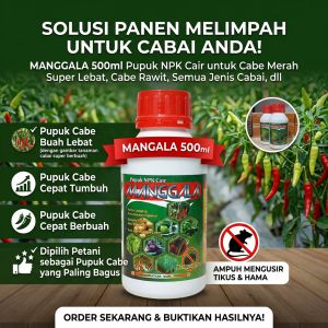 MANGGALA 500ml - Pupuk Organik Cair untuk Cabe Merah Super Lebat Cabe Rawit Semua Jenis Cabai dll - Pupuk Cabe Buah Lebat - Pupuk Cabe Cepat Tumbuh - Pupuk Cabe Cepat Berbuah - Pupuk Cabe yang Paling Bagus