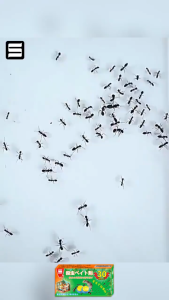 ลดทันที San เจล กำจัดมด ยาฆ่ามด ยากำจัดมด 30 ชิ้น แรง เร็ว ปลอดภัย เจลฆ่ามดยกรัง เหยื่อกำจัดมด ant killer