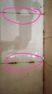 Toilet Cleaner tinggal semprotkan saja di permukaan yg mau di bersihkan