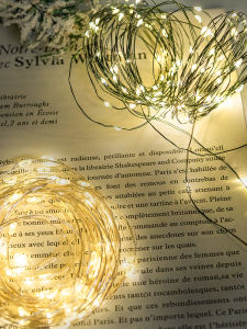 BEAUTY IN THE LIGHT | Star Style LED Decorative Lights