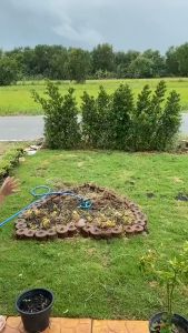 🚗จัดส่งจากกรุงเทพ 🚗สปริงเกอร์รดน้ำ สปริงเกอร์สนามหญ้า หัวฉีดสปริงเกอร์ หัวสปริงเกอร์ สปริงเกอร์ในสวน รดน้ำต้นไม้ 360 องศา