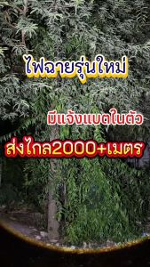 FILED GREEN🌈ไฟฉายคาดหัวกันน้ำ มีแสงสีขาว/เหลือง ในตัวเดียว!! ปรับซูมได้ไฟฉายเดินป่ากรีดยาง ส่องสัตว์ จับกบหาปลา ตกปลา