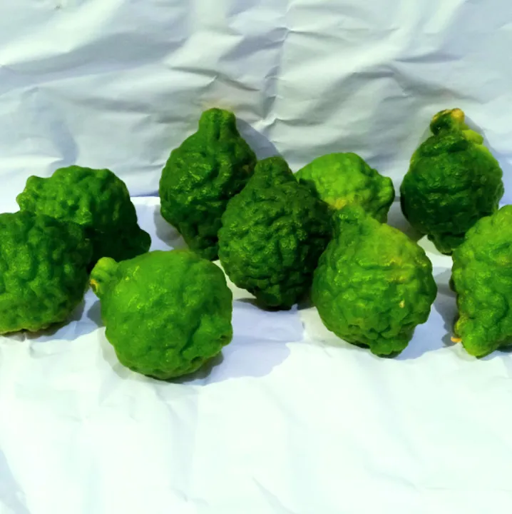 Jeruk%20Purut%20Jantan%201%20Kg%20-%20Image%203
