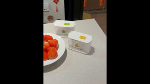 YHOME Garpu Plastik Buah Kue Camilan Sekali Pakai 50PCS Kecil Garpu Wadah Tekan Praktis K1251 KHM