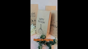 10pcs Cat Kraft Paper Bag Gift Wrapper food Baking Packaging Party Doorgift Wedding Baby Shower Birthday goodies Door Gift