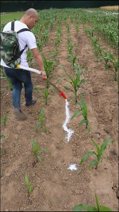 เหล็กกล้าไร้สนิม เครื่องหยอดปุ๋ย เป้หยอดปุ๋ย ไม่ต้องก้มใส่ปุ๋ยอีกต่อไป ถังใส่ปุ๋ย ไม่ต้องก้มให้ปวดหลัง ถังหยอดปุ๋ย