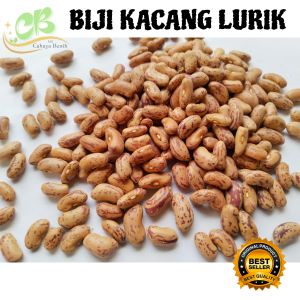 Benih kacang merah lurik isi 100 butir  Bibit kacang merah lurik