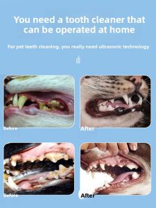 VOA | Dental Calculus Remover Ultrasonic Teeth Cleaning Machine for Dogs and Cats
