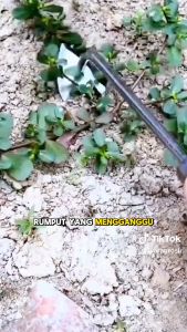 Stok Siap Pencabut Rumput Liar Multifungsi Gagang Besi