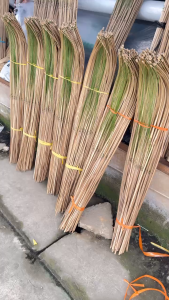 Combo 80 cây cần câu tre dài 1m1 và 40 cây ( trọn bộ đã gồm Dây Lưỡi Cần )