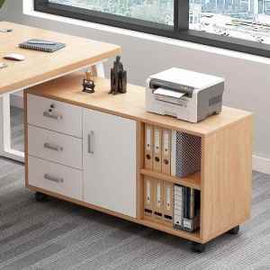 ZHENTAIYUAN | Locked Document Storage Cabinet
