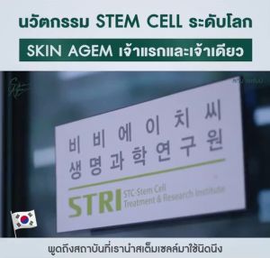 ส่งฟรี SKIN AGEM สกินเอเจ้มม์ Snow Booster Perfect Cream Ampoule เปปไทด์สเต็มเซลล์ ฝ้า กระ หน้าขาว