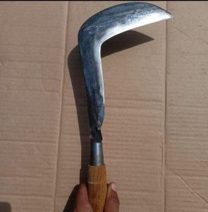 Sabit Baja Asli Arit Baja Per Sambit Srabutan Rumput Ranting Serbaguna