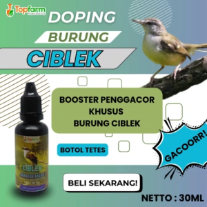 Vitamin Dan Doping Burung Ciblek / Vitamin Penggacor Burung Ciblek / Vitamin Booster Burung Ciblek / Vitamin Burung Ciblek / Booster Penggacor Burung Ciblek / Vitamin Burung Ciblek / Vitamin Burung Ciblek Cepat Gacor / Doping Burung Ciblek