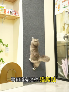 Cat Scratching Mat Trimmable Self-Adhesive Anti-Scratcher Carpet Furniture Protector Sticker Board Mainan Kucing