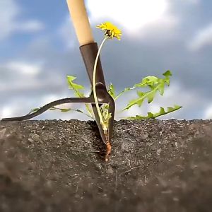 Weeding Head Replacement Claw Foot Pedal Weed Puller Stand Up Gardening Digging Weeder Alone Root Remover And Alone Handle Stand Up Weed Puller Claw Tool Aluminum Alloy Weeding Head Replacement Garden Foot Pedal Digging Grass Shovel Root Remover