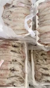 MỰC TRỨNG 1KHAY 1KG  TRỨNG FULL  CHỈ GIAO HỎA TỐC HCM (HÌNH ẢNH SP TÙY THEO LÔ HÀNG NHẬP VỀ THEO THỒI ĐIỂM)