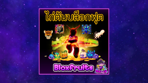 ไก่ตัน Bloxfruits ไก่ตันการ์ดเกมไก่ตัน