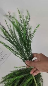 Aksesoris Ekor Tupai / Squirrel Tail Cabang 5 artificial plastik rumput daun untuk dekorasi wedding atau dekorasi pelaminan dan dekorasi rumah Import premium termurah artifisial palsu plastik