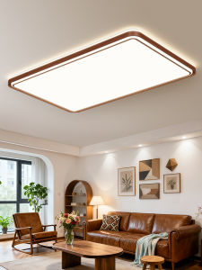 DGY | Vintage & Simplistic Living Room Ceiling Light