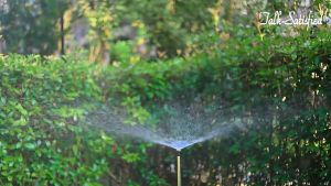 SPUYER TAMAN HUJAN 1 LUBANG KUNINGAN SPUYER LURUS NOZZLE SPRINGKLE NOSEL LURUS SPRINGKEL NO 5