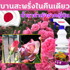 น้ำยา บานสะพรั่ง 500ml สเปรย์บำรุงกุหลาบเข้มข้น ปุ๋ยใส่กุหลาบปูยเร้ง ผักไม่ผำ สีสด ดอกใหญ่ กันแมลงกันโรค น้ำยาที่น้ำหน้าไปในบำรุงของคุณ ถูกประใช้ในการเจริญเติบโต ทำให้ผิวหน้าดูฝันและเสริมสร้างสุขภาพใบหน้า คุณสามารถรับรู้จักกับค