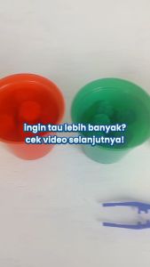 HAULA TOYS | Mainan Montessori / Mainan Edukasi Sorting Color