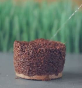 Bonsai168🔥10pcs Plant Cocopeat Block Peat Pellet Soil Growing Tanah Benih Semaian with cover