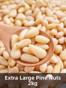 Premium Large Red Pine Nuts 2025 New Batch