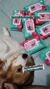 Pet Wipes Dog Wipes Cat Wipes Multi-Purpose Wipes for Dogs & Cats (80 Sheets)