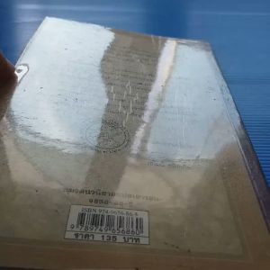 หน้าผาวิปโยค ชุด อยากให้เรื่องนี้ไม่มีโชคร้าย เล่ม 10 ผู้เขียน Lemony Snicket ผู้แปล อาริตา พงศ์ธรานนท์