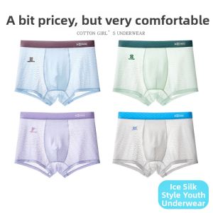 Cool Ice Silk Underwear for Teenagers
