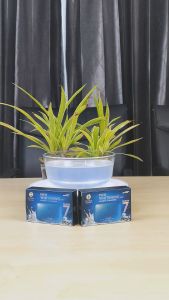 สบู่ทำความสะอาดใบหน้า พิโก ไวท์เทนนิ่ง โซฟ จีพีโฟว์จี 60 กรัม Pico Whitening Soap GP4G