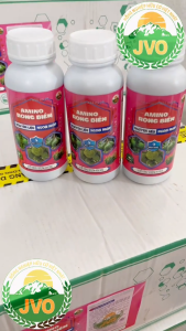 AMINO RONG BIỂN Chai 500ml Cây Khỏe - Mát Cây - Mập Đọt - Xanh Lá Tốt Trái JVO97 NongNghiepVietNhat