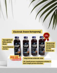EKSTRAK DAUN KETAPANG LAUT OLAHAN 250ML KUALITAS PREMIUM PEKAT