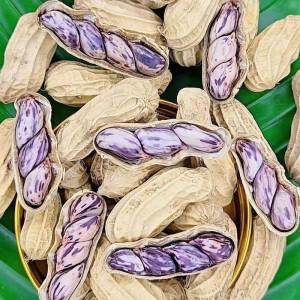 Dried Salted Multi-color Peanuts