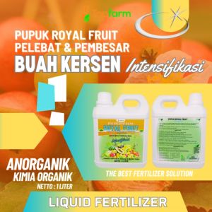 Pupuk Booster Semua Buah / Pupuk Khusus Pelebat Buah Kersen / Pupuk Cair Untuk Buah Kersen / Pupuk Pelebat Buah Kersen / Pupuk Pemanis Buah Kersen