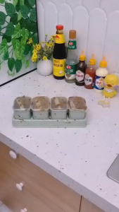 BOTOL BUMBU DAPUR / TOPLES BUMBU DAPUR / TEMPAT BUMBU RACIKAN KACA TEBAL DAPUR SERBAGUNA