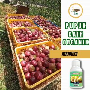 Pupuk Organik Cair Markisa 100 Ml Hormon Pelebat Buah Jadi Jumbo Dan Banyak By Jagotani Yogyakarta