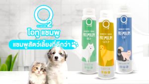 O2 nature Premium Gold Shampoo สำรวจวิธีน้ำเกลือสูตรพรีเมียมโกลด้วย บำรุงขนนูมฟูสำหรับสัตว์เลี้ยงสกัดจากธรรมชาติ
