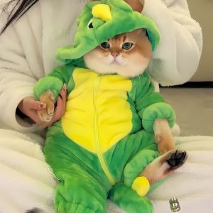 Cat Dinosaur Clothes Pet Jumpsuit Funny with Flannel Winter Heattech Anti-Lint Cat Cat Dog Clothing