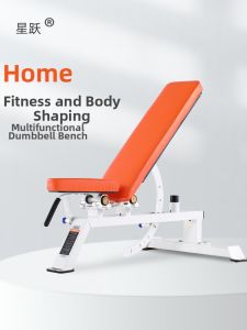 XINGYUE | Shaping Training Bench