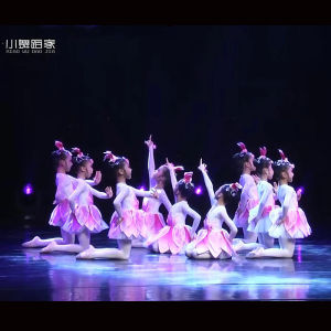 Childrens Performance Outfit Puffy Skirt Dance Costume Lotus Flower Opening Spring Festival Performance Clothes Cotton Polyester